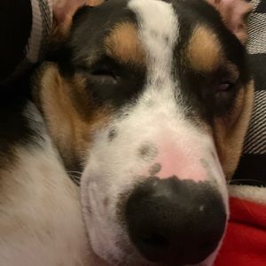 Meet your Posher, Trisha